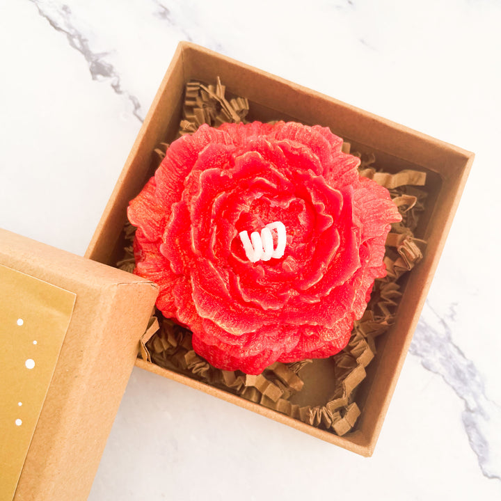 Vela Flor de Natal | Presente de Natal