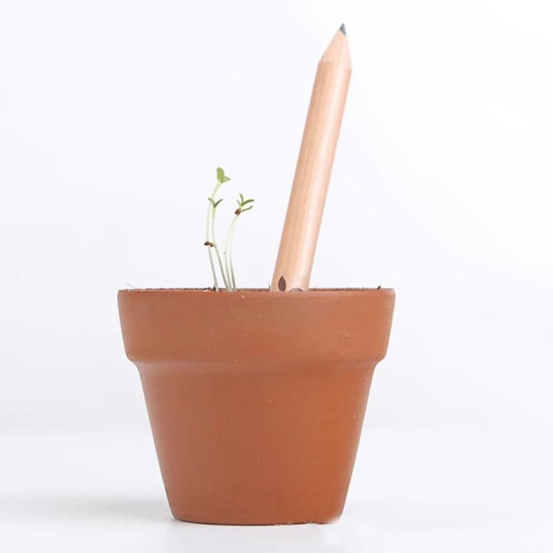 Lápis sementes com marcador de livro coleção FLOR