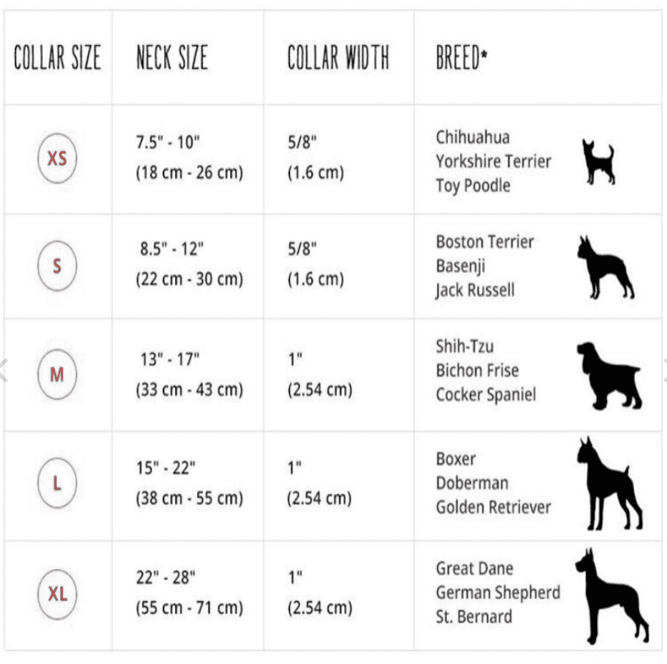 coleira animal cao tamanhos