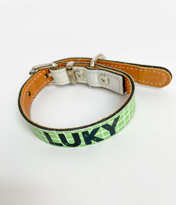 coleira animal personalizada para cao quadradinhos verdes