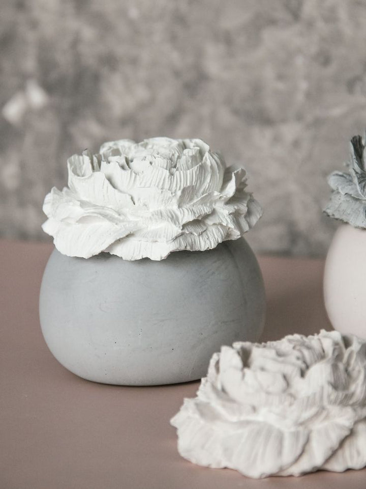 Workshop de Iniciação ao Gesso Perfumado | 10 de maio