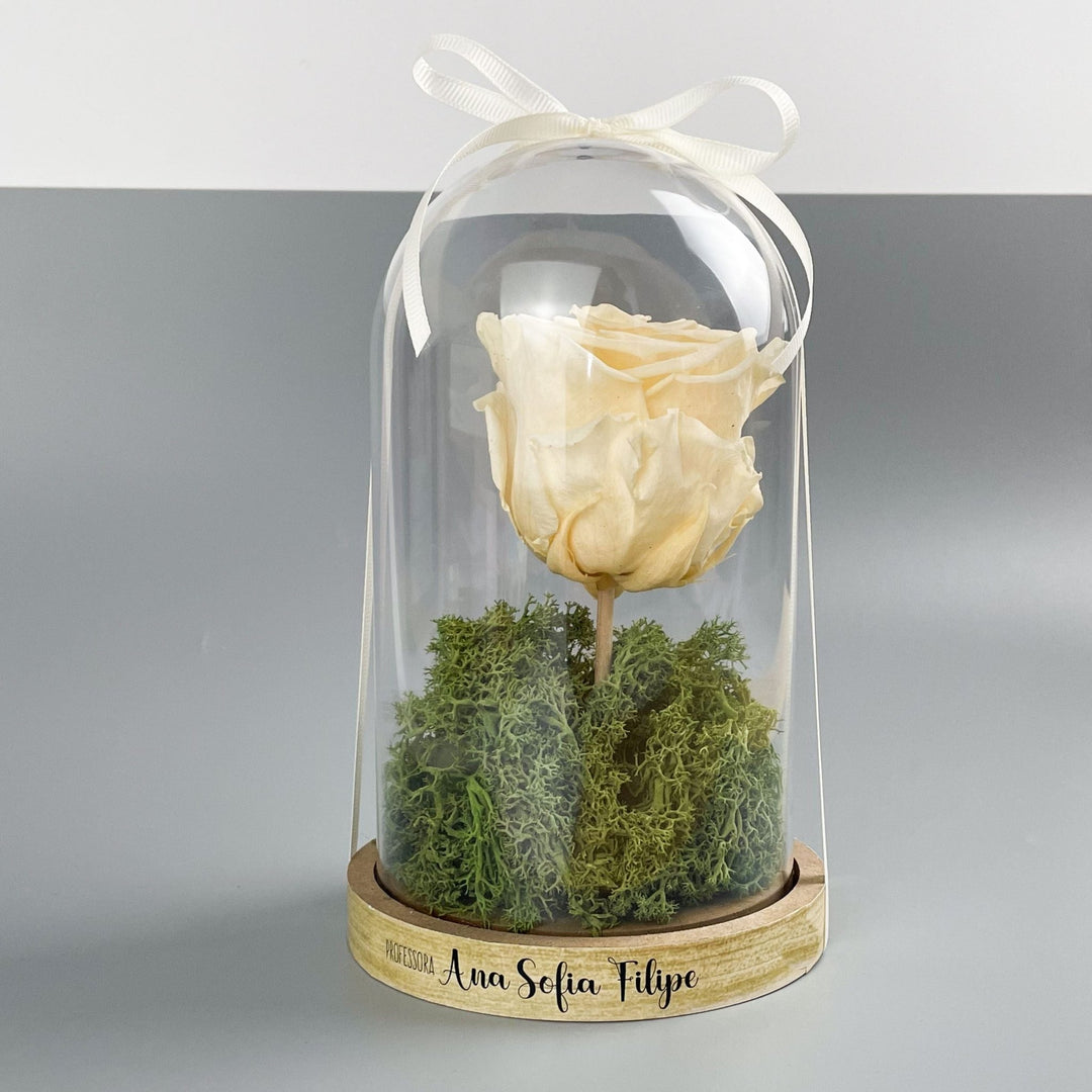 A Rosa Preservada com Campânula - Cutxi Cutxi - Cutxi Cutxi - Presentes Personalizados