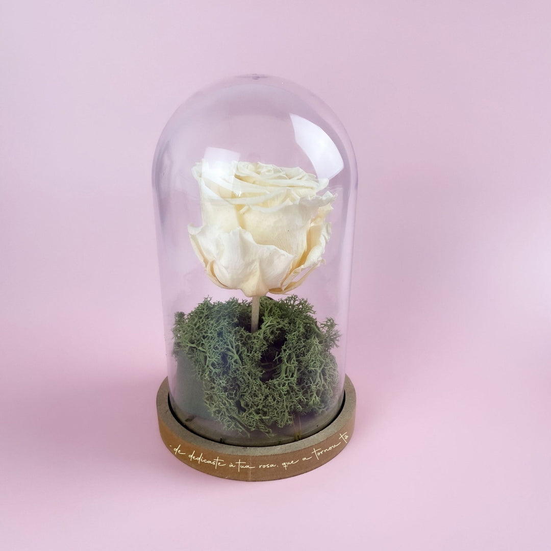 A Rosa Preservada com Campânula - Cutxi Cutxi - Cutxi Cutxi - Presentes Personalizados