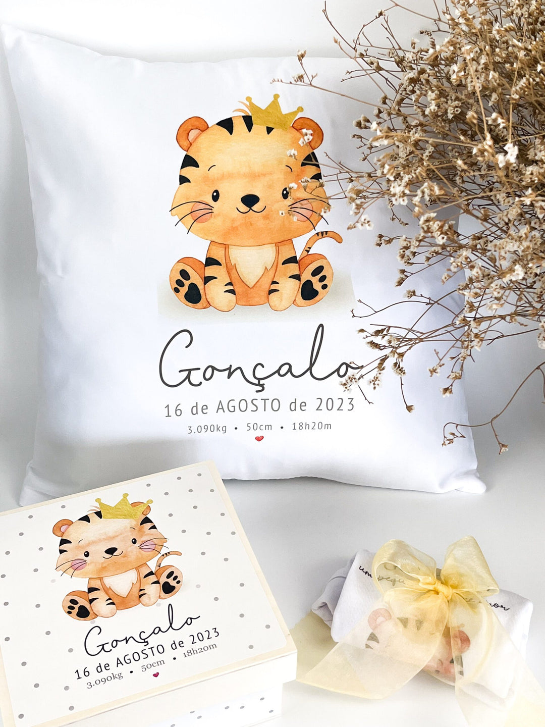 Conjunto de Nascimento Animais Fofinhos