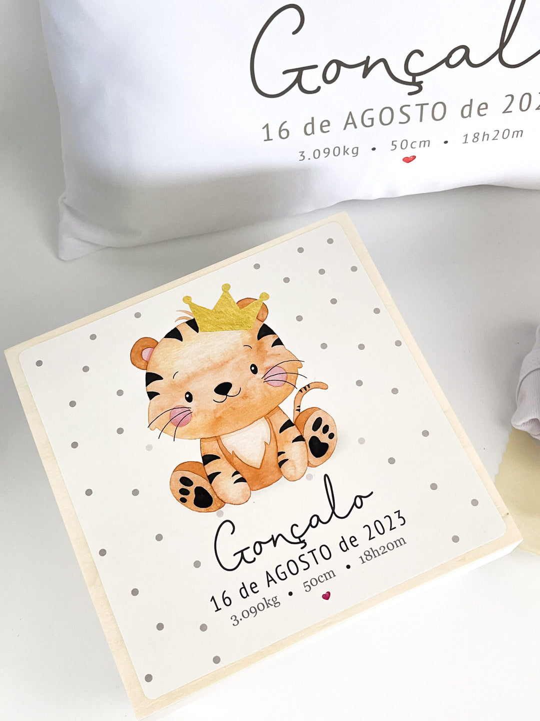 Conjunto de Nascimento Animais Fofinhos