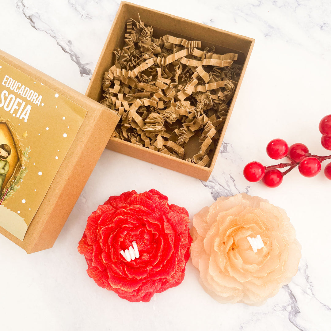Andorinha de Natal | Presente de Natal Especial