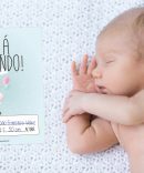 Cartões Animais para Bebé Milestones CutxiCutxi