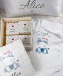 Conjunto de Nascimento Animais Fofinhos