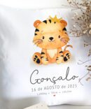 Conjunto de Nascimento Animais Fofinhos