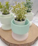 🎁 Cutxi Entre Amigas - Escolhe o Workshop